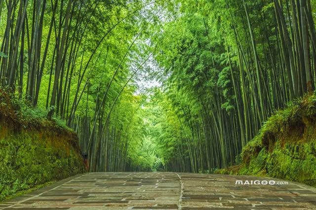 四川十大最美景点 四川最美的地方排行榜 四川旅游景点哪些最美
