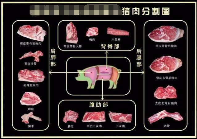 猪身上不同部位的肉，一张图秒懂！再也不用担心被肉贩子忽悠了