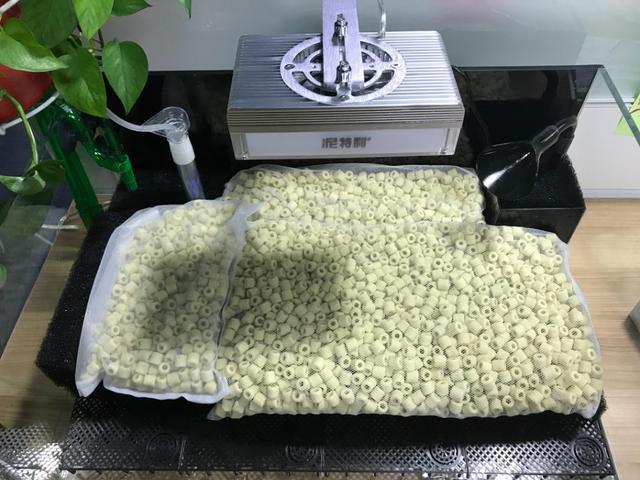 原生缸造景：用最野的石头，造最靓的缸