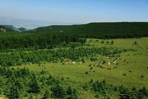 离太原最近、华北最大的草原 马仑草原一天自驾旅游攻略