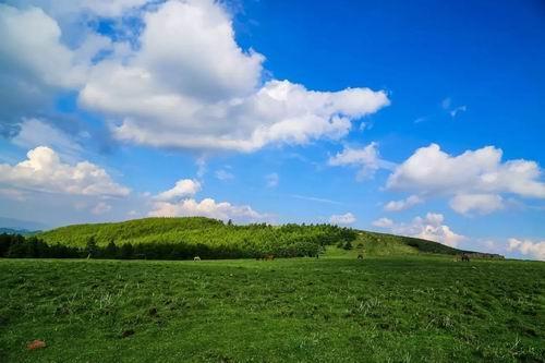 离太原最近、华北最大的草原 马仑草原一天自驾旅游攻略