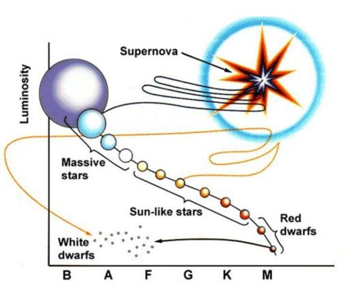 如何快速判断一颗恒星与太阳的大小关系？