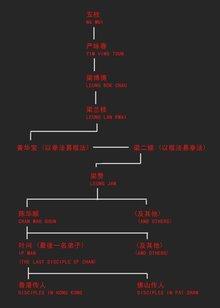 咏春拳一门制止侵袭的技术，积极、精简的正当防卫系统