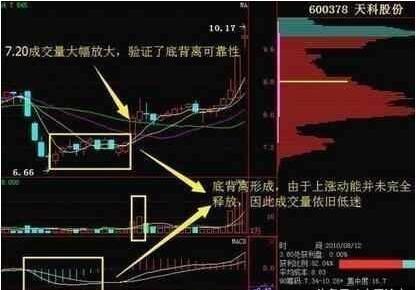 股民经验分享_心得股民经验怎么写_股民经验心得