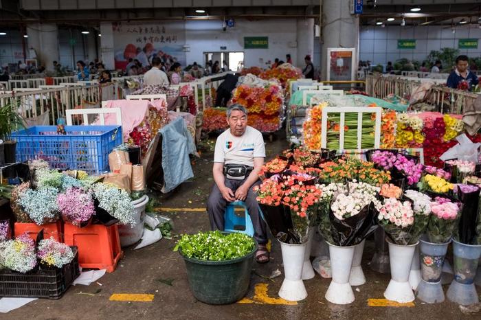 实拍云南昆明亚洲最大花卉交易中心，鲜花论斤卖，一支玫瑰一毛钱