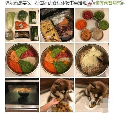 都说王思聪拿爱犬王可可炫富，你们都被骗了，这是一条会赚钱的狗