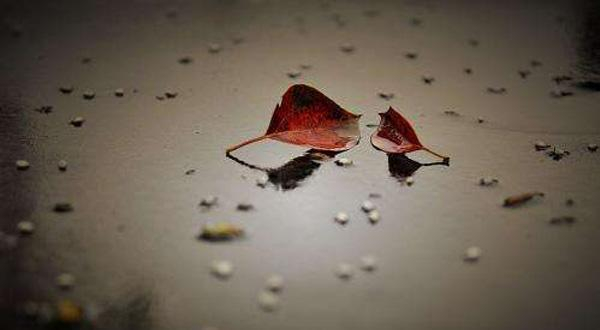 梦见亲人去世,周世周公解梦与心灵深处的解读 梦见亲人去世,周世周公解梦与心灵深处的解读