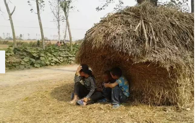 城里人不知道的麦秸垛
