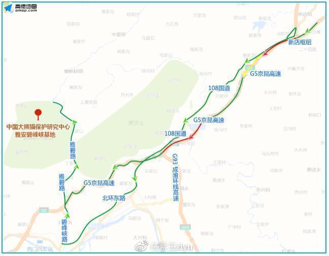 三个熊猫保护基地游览指南，全国首份“最萌网红”应援攻略