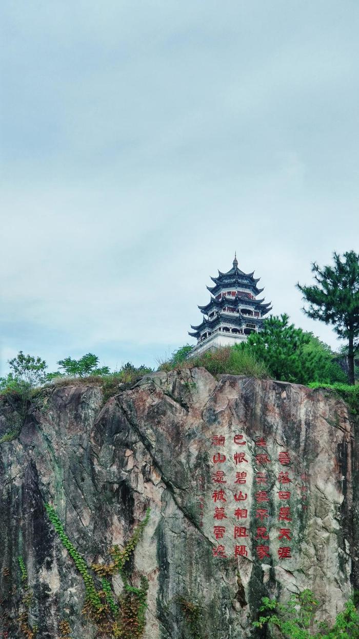 江西省抚州市南城县到资溪县-双城记-这是南山秋实-也将迎来寒冬