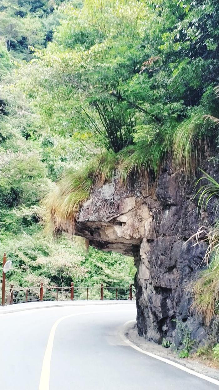 江西省抚州市南城县到资溪县-双城记-这是南山秋实-也将迎来寒冬