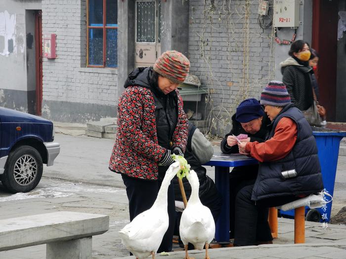 北京胡同游----钟楼湾胡同里故事