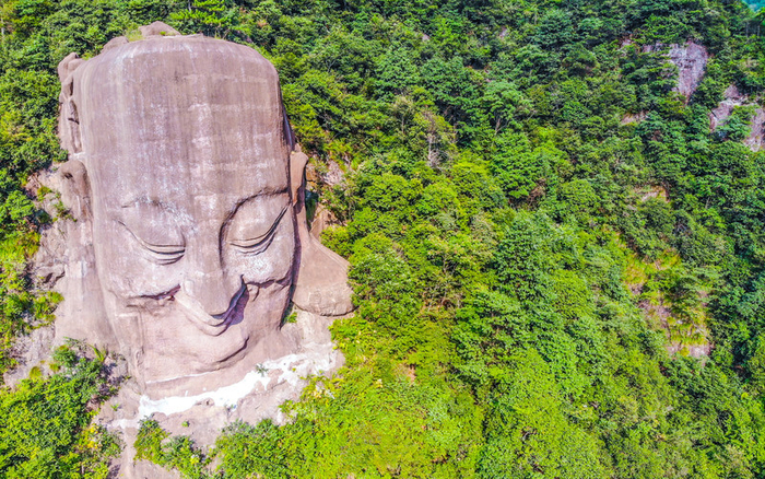 茶缘群聚：开启味蕾与文化的奇妙旅程