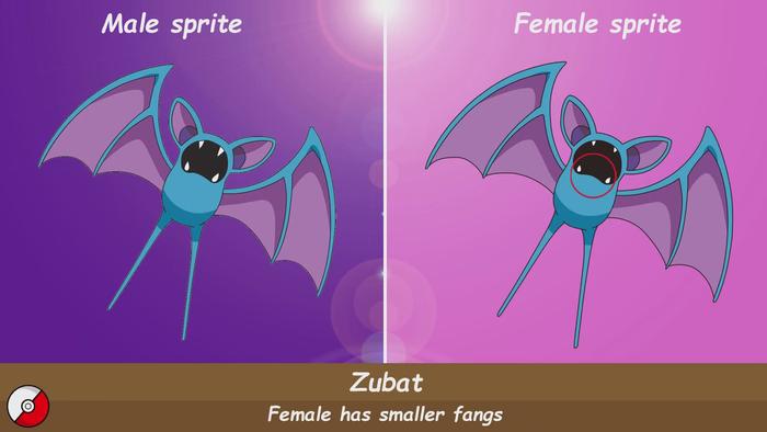 《精灵宝可梦》鲜为人知的细节 原来雌雄宝可梦外形是有差异的