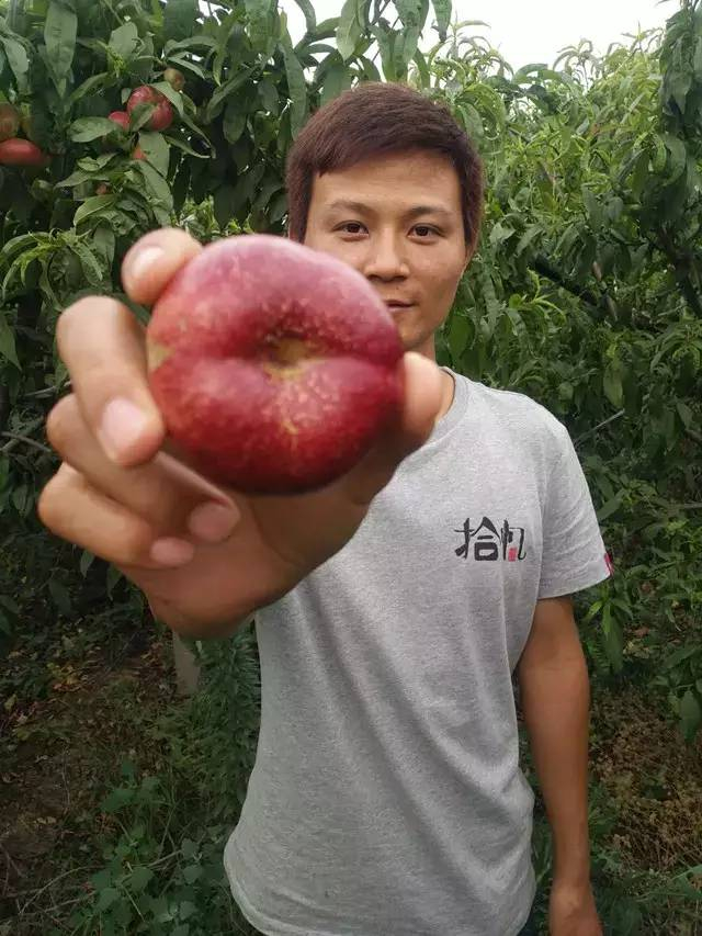 中国最好吃的桃：王母娘娘做寿时招待众仙的蟠桃，知道产那里么？