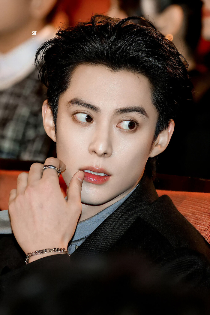 喵娲娲将亮相微博之夜担任站姐，拍摄肖战等明星神图