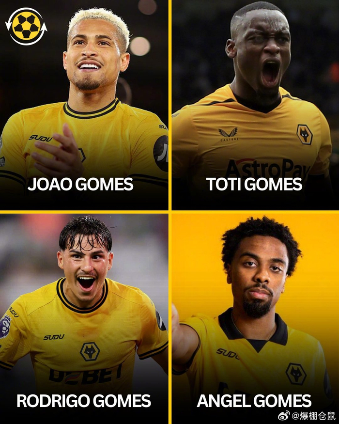 狼队压哨签曼联青训戈麦斯，队内戈麦斯达4人