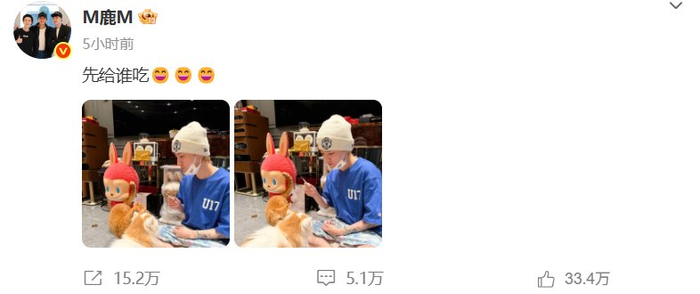 鹿晗晒投喂小猫视频问网友先给谁吃