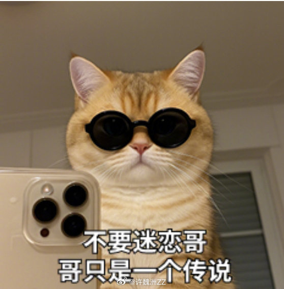 许魏洲赛车手帅照引热议