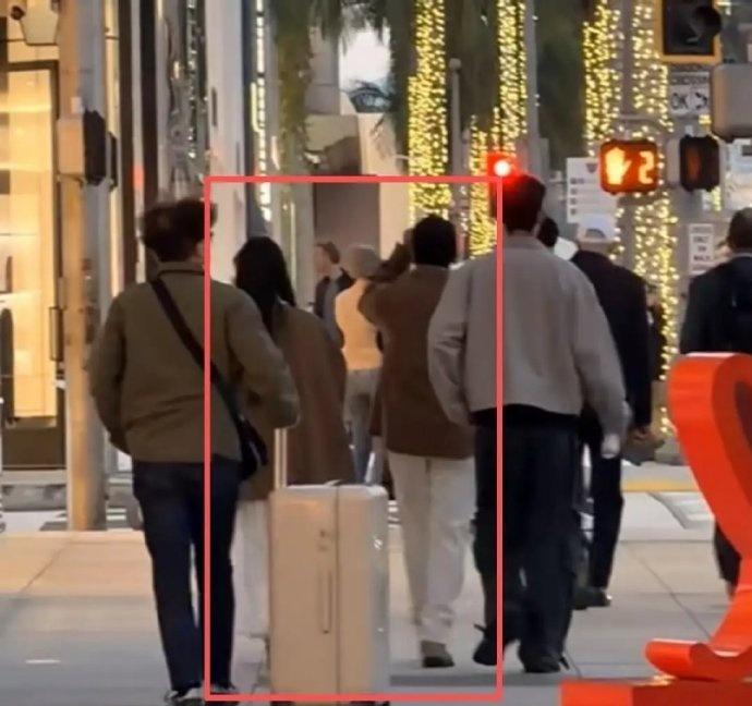 林俊杰与23岁网红Annalisa洛杉矶同框，穿情侣装疑恋情曝光