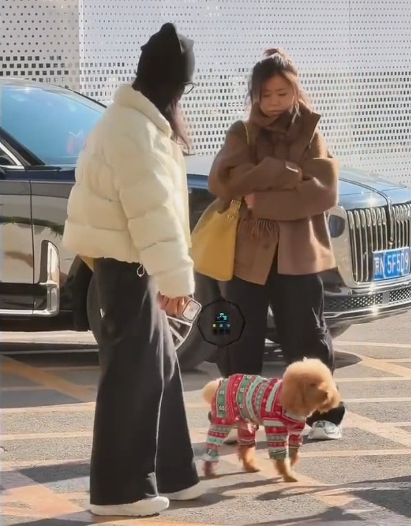 杨紫飞赴海口进组新剧玉兰花开君再来