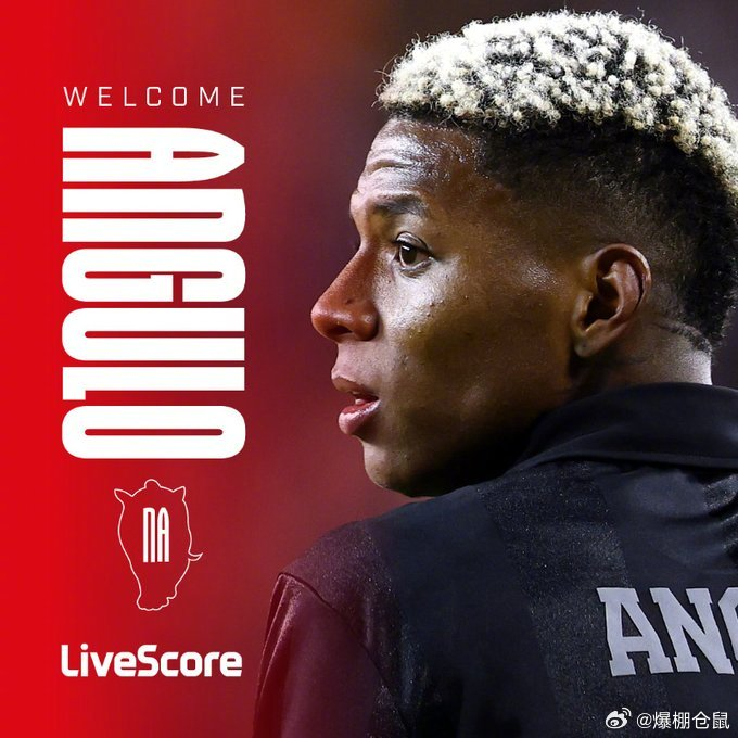 桑德罗签下厄瓜多尔国脚安古洛，转会费17M欧元