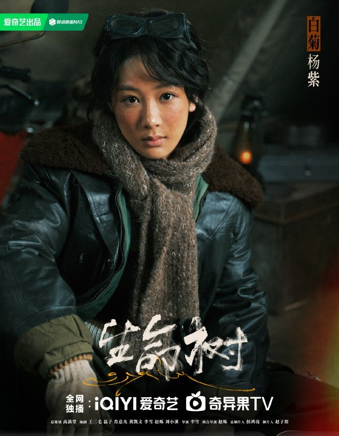 杨紫白鹿迪丽热巴等12位流量花待播剧曝光