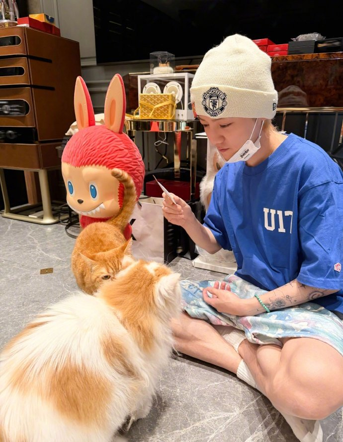 鹿晗晒投喂小猫视频问网友先给谁吃