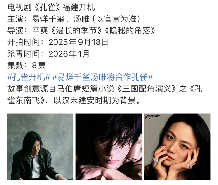 易烊千玺汤唯搭档主演辛爽新剧孔雀
