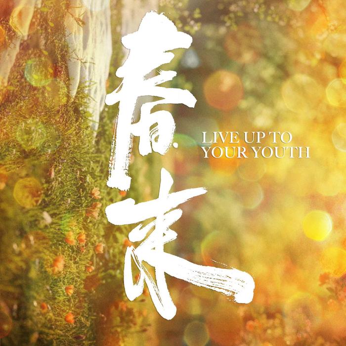 《冬去春来》官宣阵容，白宇章若楠林允王彦霖领衔主演