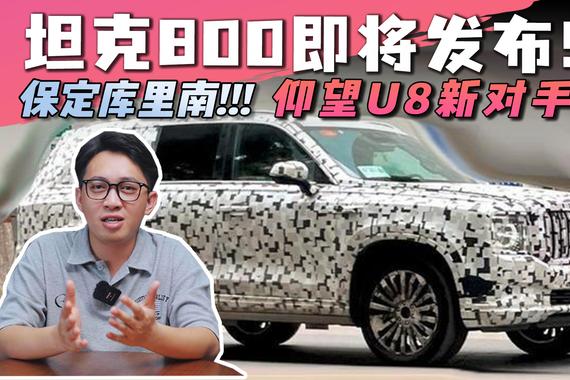 保定库里南？坦克800即将发布！仰望U8新对手？