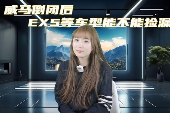威马倒闭后 EX5等车型能不能在二手车市捡漏？