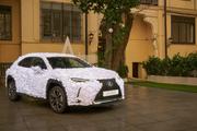 让生活精致有趣，雷克萨斯UX艺术车被纸花瓣覆盖