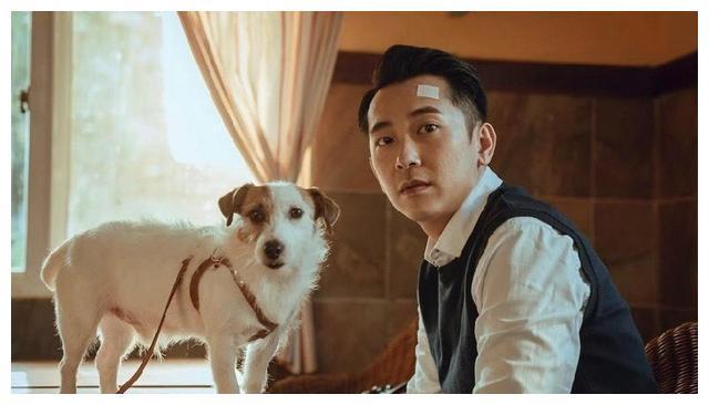 台湾首部宠物沟通悬疑电视剧，一部宠物养育手册，献给爱宠物的你