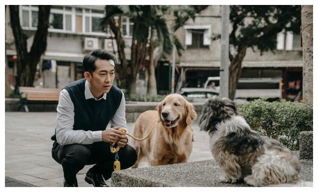 台湾首部宠物沟通悬疑电视剧，一部宠物养育手册，献给爱宠物的你