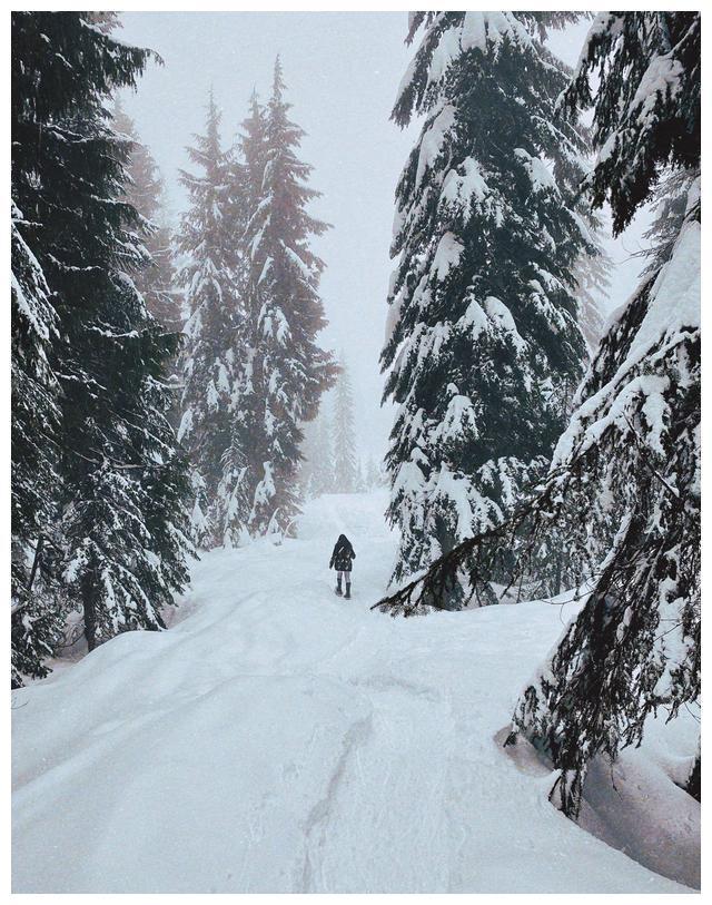钟丽缇女儿晒雪地行走照片，穿滑雪服一头长发温柔美丽