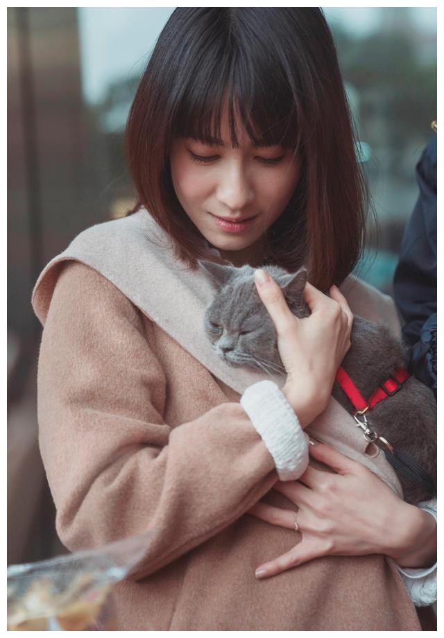 台湾首部宠物沟通悬疑电视剧，一部宠物养育手册，献给爱宠物的你