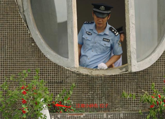 《隐秘的角落》朱晶晶就是被朝阳推下去的，论据充分，不服来辩