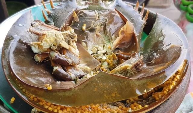 在泰国花200买了只“6月蟹”，原以为被“坑”了，切开瞬间觉得值