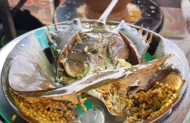 在泰国花200买了只“6月蟹”，原以为被“坑”了，切开瞬间觉得值