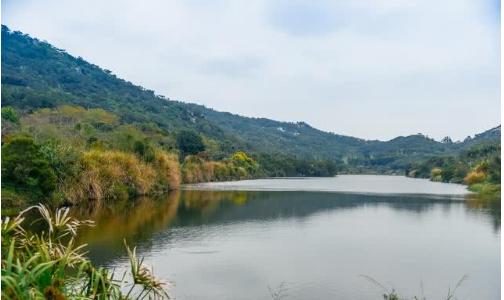 95年前德国公司承建的水库，成厦门网红景点，入口隐秘风景很美