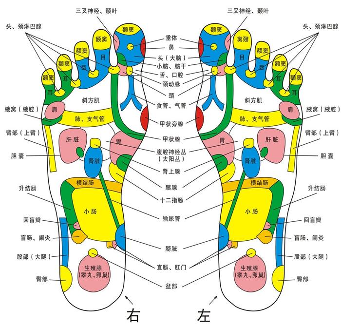 治疗疾病多种选择，反射区艾灸按摩祛除病患