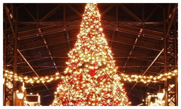 灵签占卜：凭感觉选一颗圣诞树，测你的身上有什么亮点！