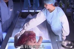 印尼西爪哇省发生车祸致12人死亡