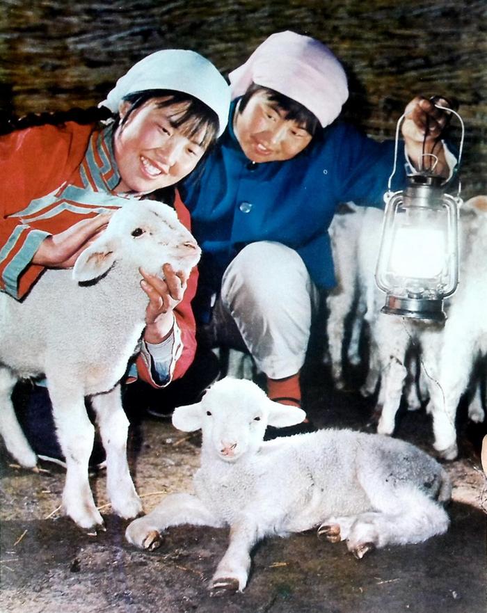 《中国摄影》1975年第6期图片鉴赏