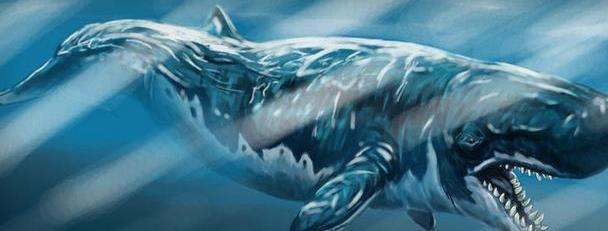 史前巨兽巨齿鲨没有天敌，为什么会灭绝？