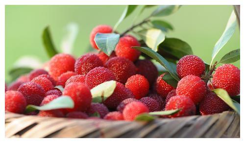 吉安特产的3种水果，井冈蜜柚上榜，常吃还能美容养颜！