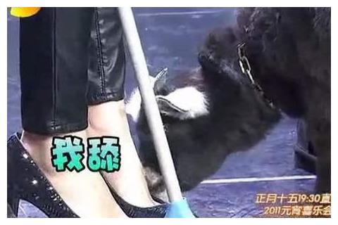 杨超越猛闻袜子称“仙女的脚不会臭” 细挖女明星的“脚臭秘闻”