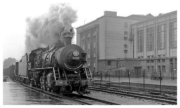 老照片  1981年哈尔滨火车站  让人怀念的蒸汽机车