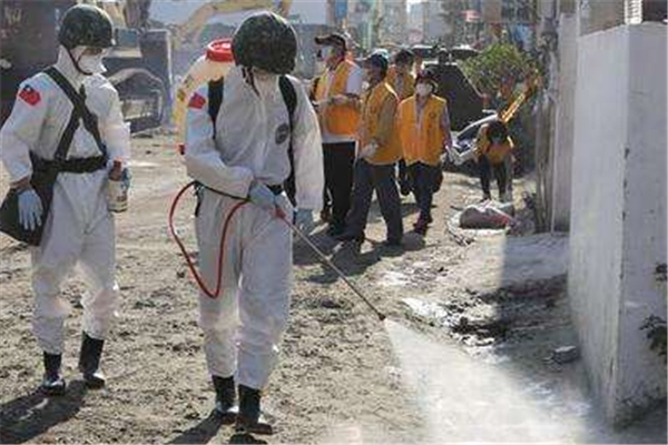 杀虫服务公司 除虫方法 治蚂蚁